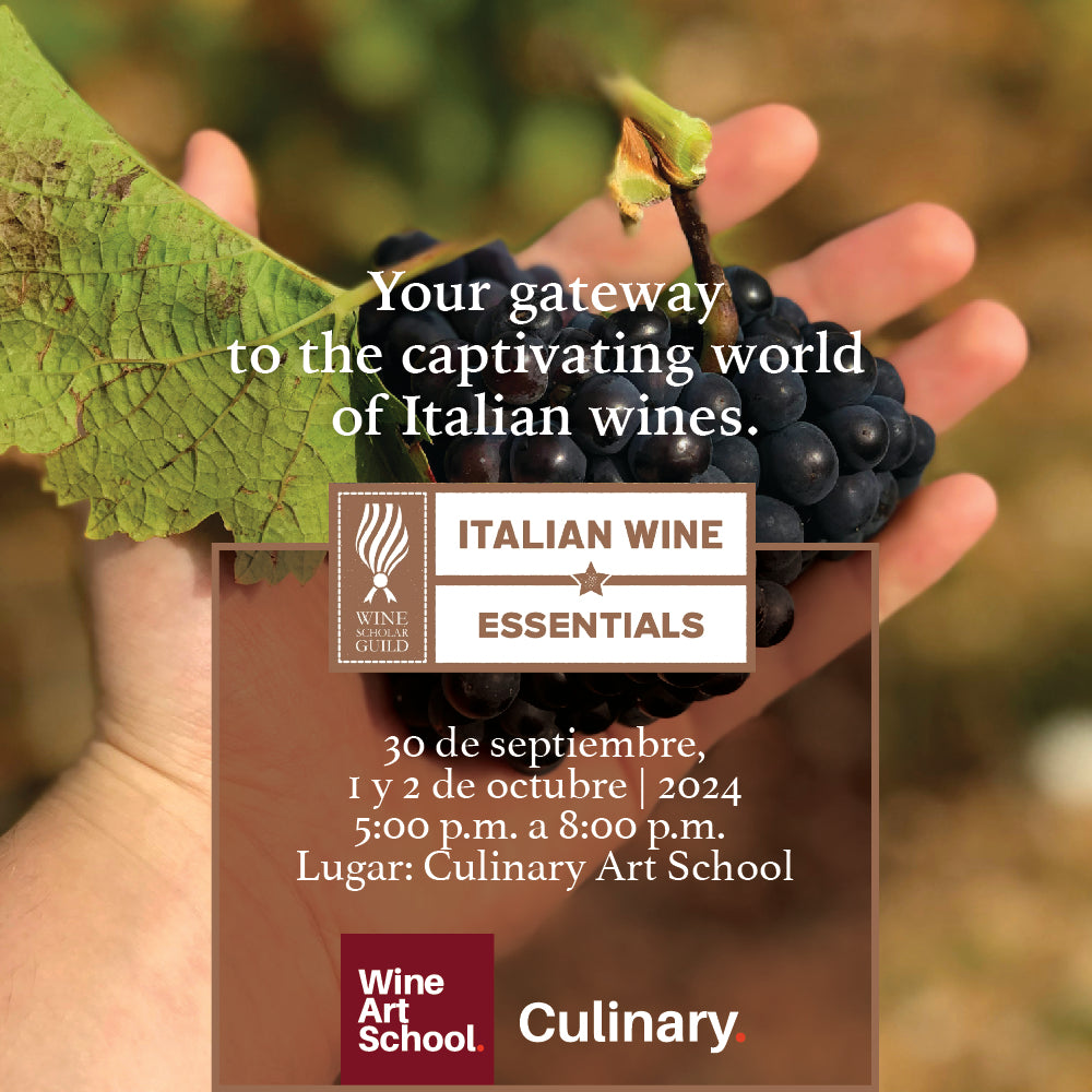 Italian Wine Essentials Culinary Art School