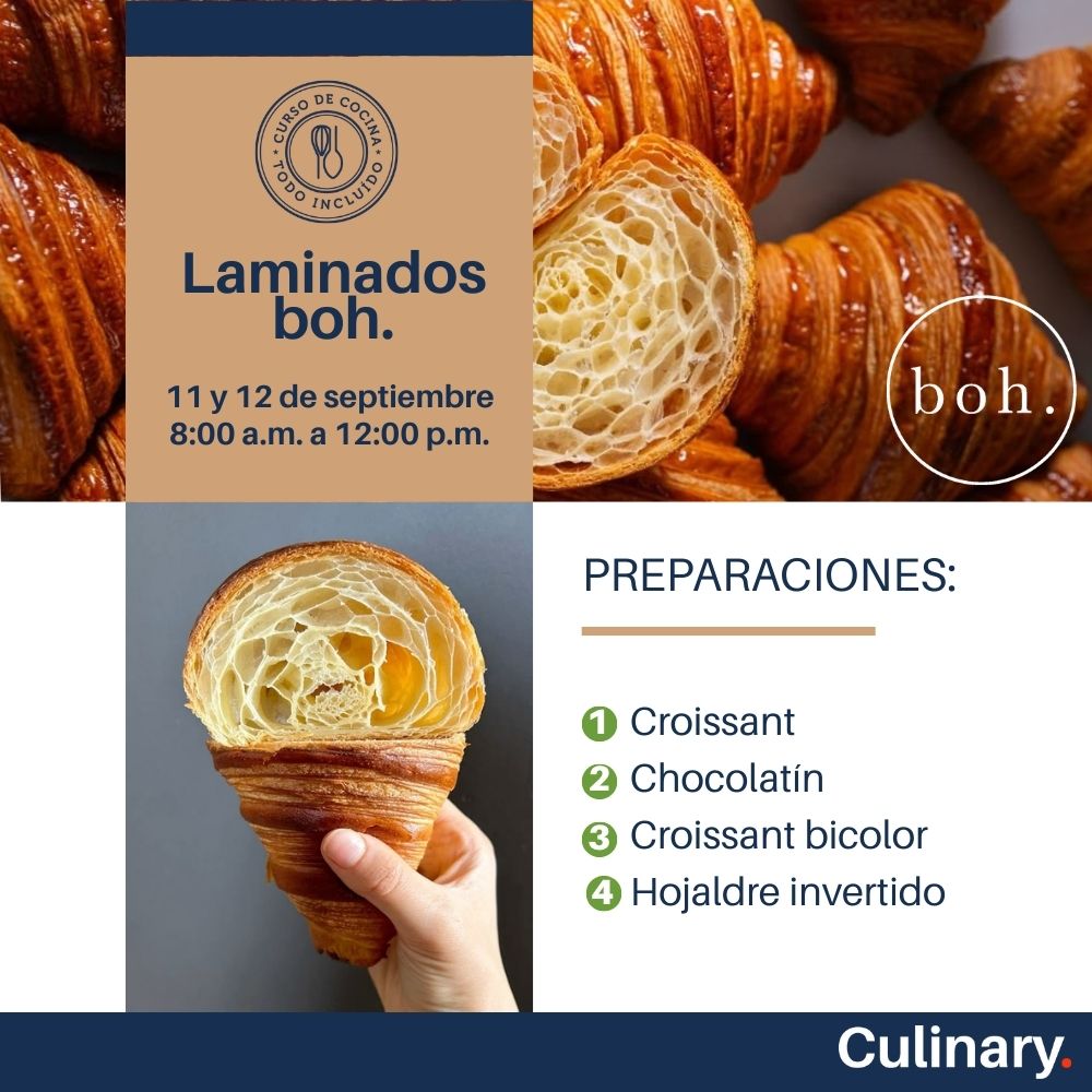 Laminados x Boh