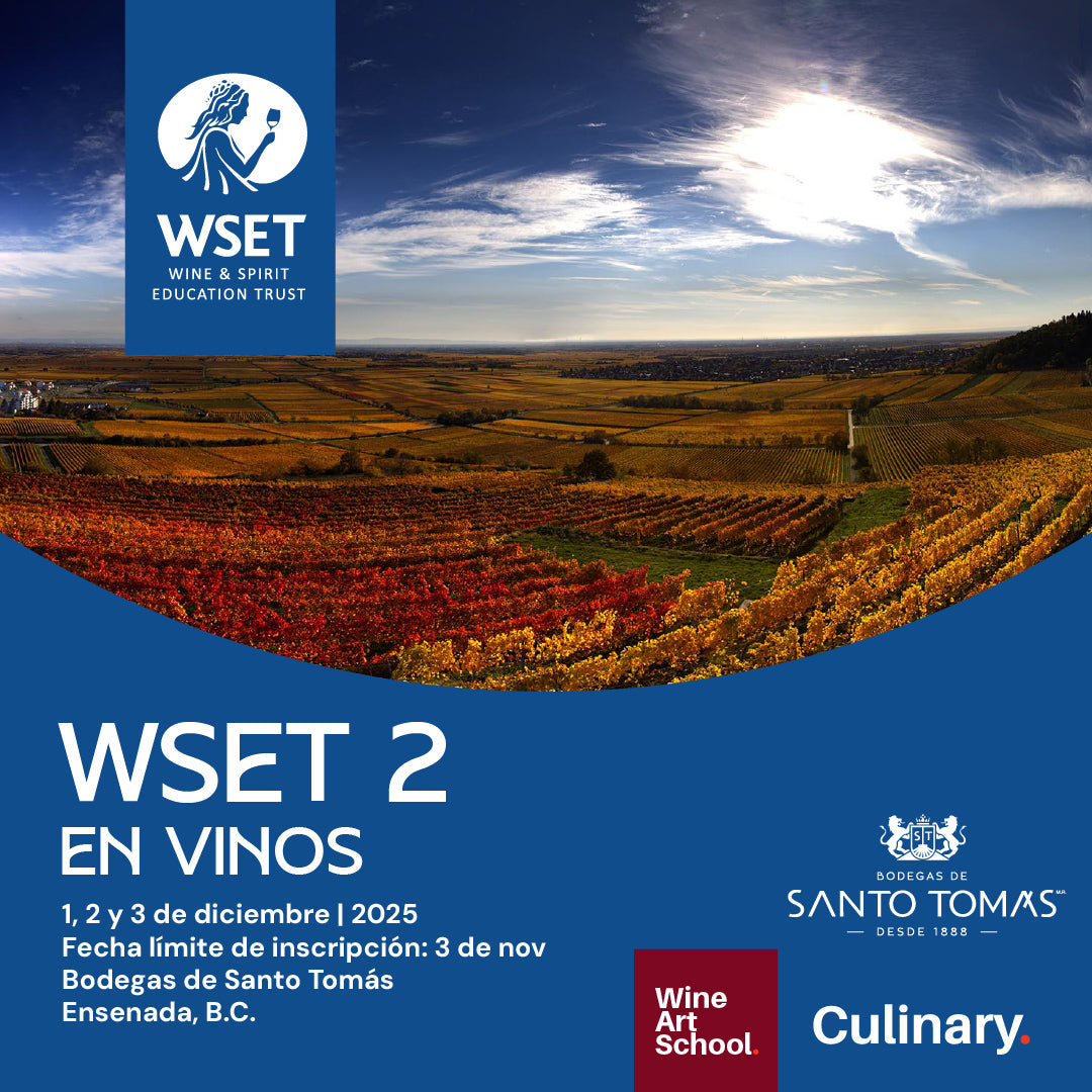 WSET en Vinos Nivel 2 - Ensenada