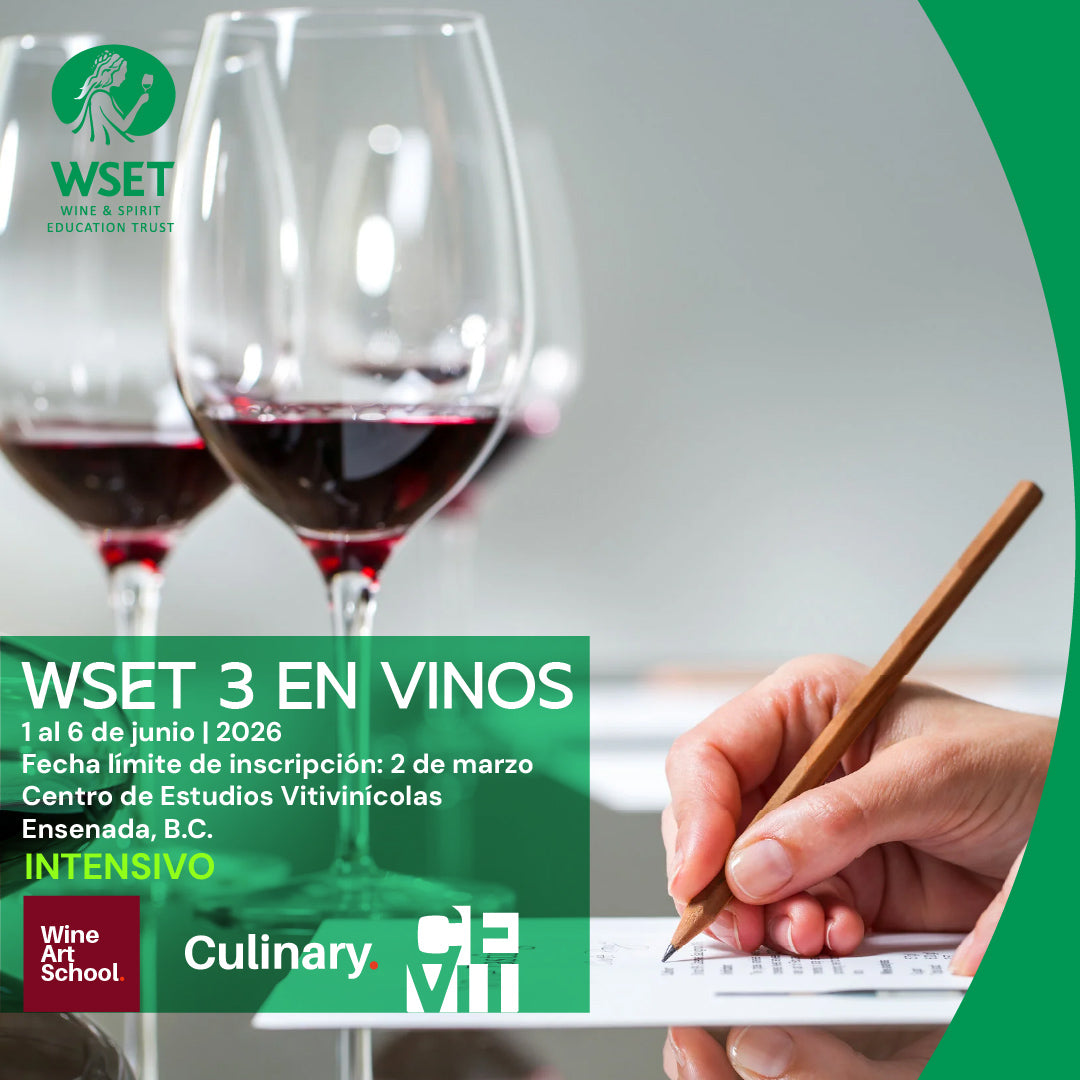 WSET 3 en Vinos - Ensenada